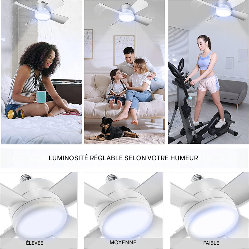 Ventilateur-plafonnier LED